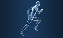 Load image into Gallery viewer, Private Session (1 on 1)